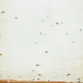 ORO SFUMATO BIANCO